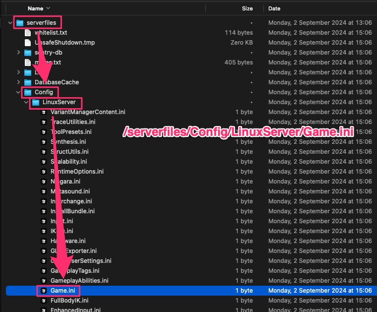 Blueprint - Find Config Path